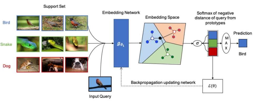 prototypical network