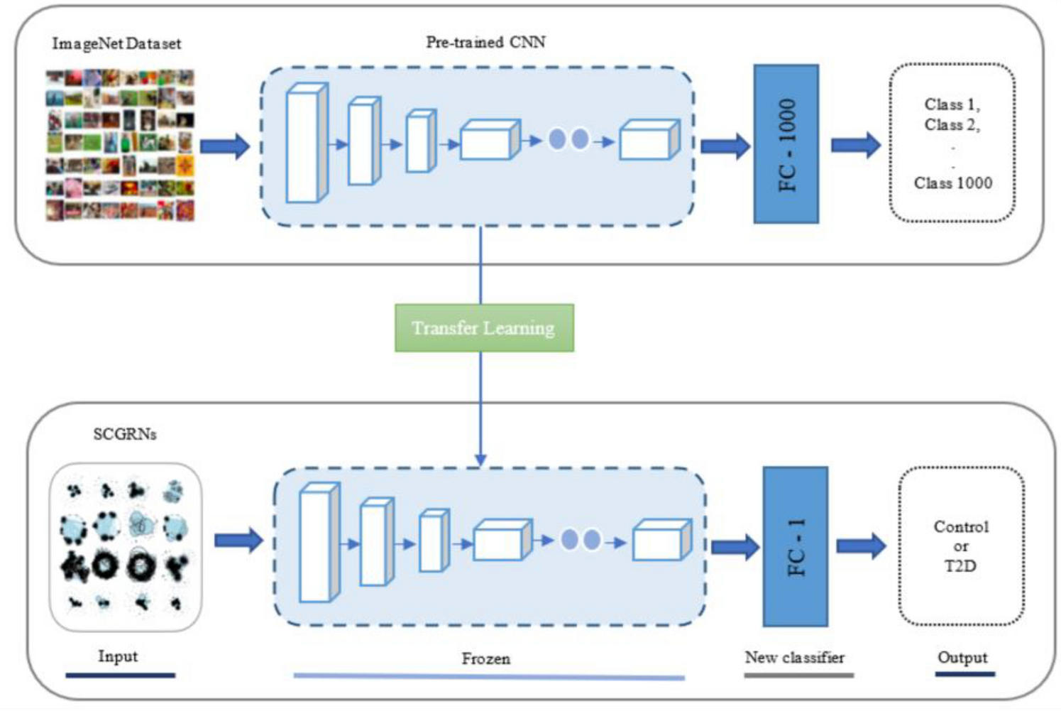 transfer model